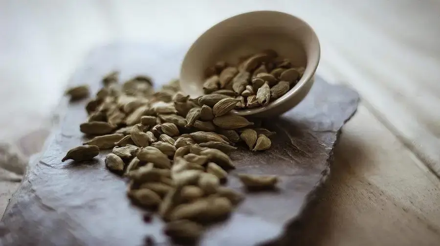 Read more about the article इलायची (Elaichi) – Cardamom |  1
